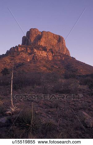 Stock Photography -  Big Bend National Park, TX, Texas, Casa Grande at Basin. Fotosearch
