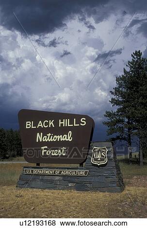 Black Hills National Forest, SD, South Dakota, entrance sign View Large Photo Image Stock Photo - Black Hills National Forest, SD, South Dakota, entrance sign. Fotosearch