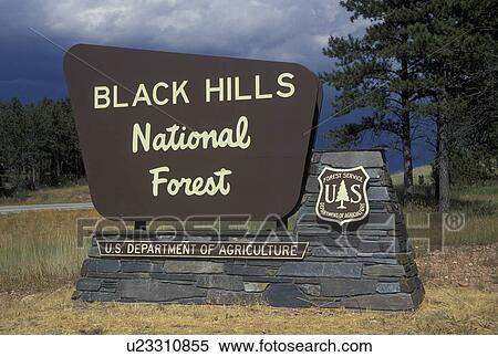Stock Photography -  Black Hills National Forest, SD, South Dakota, entrance sign. Fotosearch