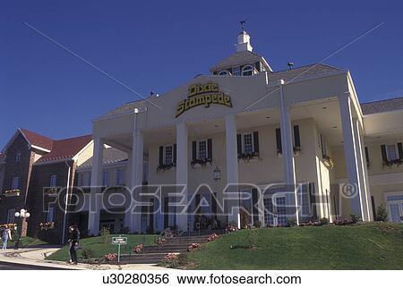 Branson, MO, Missouri, Dixie Stampede, Dinner Theater View Large Photo Image Stock Photograph - Branson, MO, Missouri, Dixie Stampede, Dinner Theater. Fotosearch