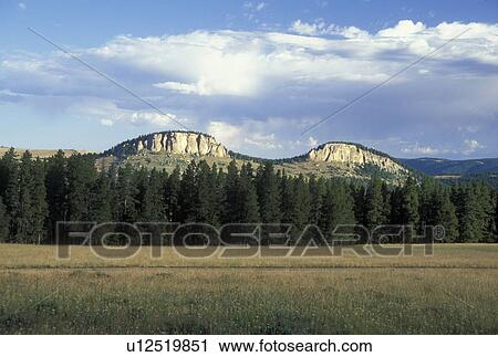 Burgess Junction, WY, Wyoming, Bighorn National Forest View Large Photo Image Stock Image - Burgess Junction, WY, Wyoming, Bighorn National Forest. Fotosearch