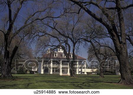 Burnside, LA, Louisiana, Houmas House Plantation & Gardens, Greek Revival mansion View Large Photo Image Stock Photography - Burnside, LA, Louisiana, Houmas House Plantation & Gardens, Greek Revival mansion. Fotosearch
