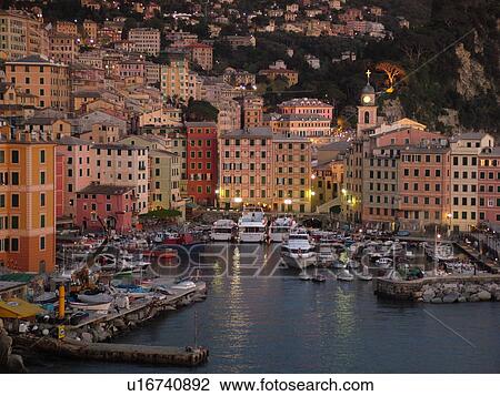 Camogli, Italy, Liguria, Riviera di Levante, Ligurian Riviera, Europe, Scenic view of the fishing port in the resort town of Camogli at sunset along the Ligurian Sea. View Large Photo Image Stock Image - Camogli, Italy, Liguria, Riviera di Levante, Ligurian Riviera, Europe, Scenic view of the fishing port in the resort town of Camogli at sunset along the Ligurian Sea.. Fotosearch