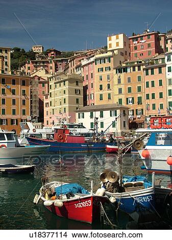 Picture -  Camogli, Liguria, Italy, Riviera di Levante, Ligurian Riviera, Europe, Fishing boats docked in the fishing port in the resort town of Camogli along the Ligurian Sea.. Fotosearch