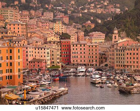 Stock Image -  Camogli, Liguria, Italy, Riviera di Levante, Ligurian Riviera, Europe, Scenic view of the fishing port in the resort town of Camogli along the Ligurian Sea.. Fotosearch