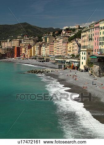 Camogli, Liguria, Italy, Riviera di Levante, Ligurian Riviera, Europe, The beach along the waterfront of the resort town of Camogli along the Ligurian Sea. View Large Photo Image Stock Image - Camogli, Liguria, Italy, Riviera di Levante, Ligurian Riviera, Europe, The beach along the waterfront of the resort town of Camogli along the Ligurian Sea.. Fotosearch