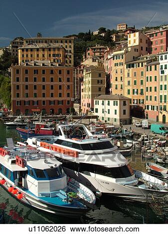 Camogli, Liguria, Italy, Riviera di Levante, Ligurian Riviera, Europe, Fishing boats and yachts docked in the fishing port in the resort town of Camogli along the Ligurian Sea. View Large Photo Image Stock Photograph - Camogli, Liguria, Italy, Riviera di Levante, Ligurian Riviera, Europe, Fishing boats and yachts docked in the fishing port in the resort town of Camogli along the Ligurian Sea.. Fotosearch