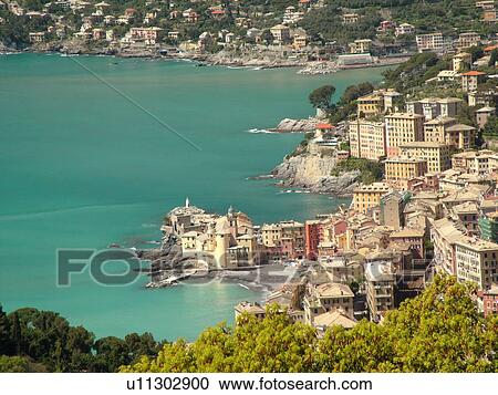 Camogli, Riviera di Levante, Liguria, Italy, Ligurian Riviera, Europe, Scenic view of the resort town of Camogli along the Ligurian Sea. View Large Photo Image Stock Image - Camogli, Riviera di Levante, Liguria, Italy, Ligurian Riviera, Europe, Scenic view of the resort town of Camogli along the Ligurian Sea.. Fotosearch