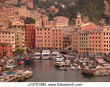 Camogli, Riviera di Levante, Ligurian Riviera, Liguria, Italy, Europe, Scenic view of the fishing port in the resort town of Camogli along the Ligurian Sea. View Large Photo Image Picture - Camogli, Riviera di Levante, Ligurian Riviera, Liguria, Italy, Europe, Scenic view of the fishing port in the resort town of Camogli along the Ligurian Sea.. Fotosearch