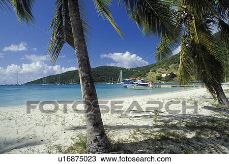 Caribbean, beach, Jost Van Dyke, British Virgin Islands, BVI, White sand beach on Jost Van Dyke Island in Great Harbor on the Caribbean Sea. View Large Photo Image Stock Image - Caribbean, beach, Jost Van Dyke, British Virgin Islands, BVI, White sand beach on Jost Van Dyke Island in Great Harbor on the Caribbean Sea.. Fotosearch
