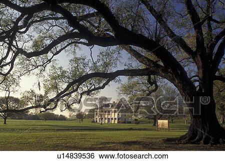 Stock Photograph -  Chalmette, New Orleans, LA, Louisiana, The Malus-Beauregard House on the grounds of the Chalmette Battlefield and National Cemetery at Jean Lafitte National Historical Park and Preserve.. Fotosearch