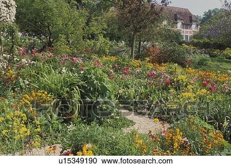 Claude Monet, Giverny, Eure, Normandy, Paris, France, Europe, Claude Monet Country Home and Gardens in Giverny. View Large Photo Image Stock Image - Claude Monet, Giverny, Eure, Normandy, Paris, France, Europe, Claude Monet Country Home and Gardens in Giverny.. Fotosearch