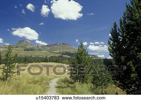 Colorado, San Juan National Forest, San Juan Mountains, CO, San Juan National Forest, Molass Pass at Molass Divide along the San Juan Skyway, San Juan Mountains View Large Photo Image Stock Image - Colorado, San Juan National Forest, San Juan Mountains, CO, San Juan National Forest, Molass Pass at Molass Divide along the San Juan Skyway, San Juan Mountains. Fotosearch
