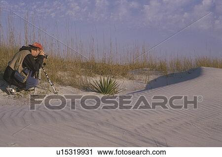 Cumberland Island National Seashore, GA, Golden Isles, barrier island, Georgia, Photographer taking picture of sand dune, photography View Large Photo Image Stock Image - Cumberland Island National Seashore, GA, Golden Isles, barrier island, Georgia, Photographer taking picture of sand dune, photography. Fotosearch
