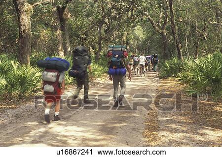 Cumberland Island National Seashore, GA, Golden Isles, barrier island, Georgia, Hiking to the backcountry on the main road, transportation, camping, hiking View Large Photo Image Stock Image - Cumberland Island National Seashore, GA, Golden Isles, barrier island, Georgia, Hiking to the backcountry on the main road, transportation, camping, hiking. Fotosearch