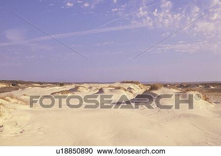 Cumberland Island National Seashore, GA, Golden Isles, barrier island, Georgia, sand dunes View Large Photo Image Stock Image - Cumberland Island National Seashore, GA, Golden Isles, barrier island, Georgia, sand dunes. Fotosearch