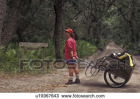 Cumberland Island National Seashore, GA, Golden Isles, barrier island, Georgia, Woman taking cart to Sea Camp Dock, camping View Large Photo Image Stock Image - Cumberland Island National Seashore, GA, Golden Isles, barrier island, Georgia, Woman taking cart to Sea Camp Dock, camping. Fotosearch