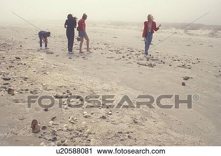 Cumberland Island National Seashore, GA, Golden Isles, barrier island, Georgia, people walking on the beach in the fog. View Large Photo Image Stock Image - Cumberland Island National Seashore, GA, Golden Isles, barrier island, Georgia, people walking on the beach in the fog.. Fotosearch