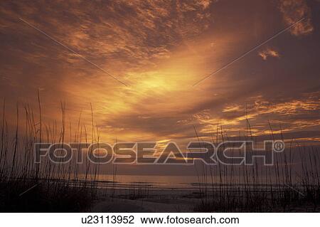 Stock Image -  Cumberland Island National Seashore, GA, Golden Isles, barrier island, Georgia, beach, ocean, sunrise. Fotosearch