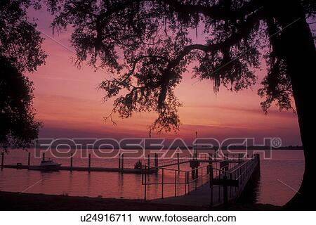 Cumberland Island National Seashore, GA, Golden Isles, barrier island, Georgia, St. Marys River, Sea Camp Dock, sunset View Large Photo Image Stock Image - Cumberland Island National Seashore, GA, Golden Isles, barrier island, Georgia, St. Marys River, Sea Camp Dock, sunset. Fotosearch