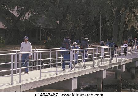 Cumberland Island National Seashore, GA, Golden Isles, barrier island, Georgia, St. Marys River, Cumberland Queen, people arriving at Sea Camp Dock View Large Photo Image Stock Photo - Cumberland Island National Seashore, GA, Golden Isles, barrier island, Georgia, St. Marys River, Cumberland Queen, people arriving at Sea Camp Dock. Fotosearch