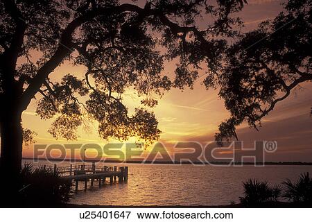 Cumberland Island National Seashore, GA, Golden Isles, barrier island, Georgia, St. Marys River, Sea Camp Dock, sunset View Large Photo Image Stock Photo - Cumberland Island National Seashore, GA, Golden Isles, barrier island, Georgia, St. Marys River, Sea Camp Dock, sunset. Fotosearch