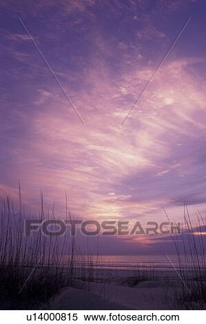 Cumberland Island National Seashore, GA, Golden Isles, barrier island, Georgia, beach, ocean, sunrise View Large Photo Image Stock Photography - Cumberland Island National Seashore, GA, Golden Isles, barrier island, Georgia, beach, ocean, sunrise. Fotosearch