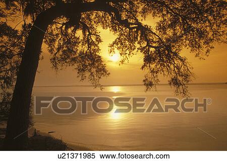 Cumberland Island National Seashore, GA, Golden Isles, barrier island, Georgia, St. Marys River, Sunset from Sea Camp Visitor Center View Large Photo Image Stock Photography - Cumberland Island National Seashore, GA, Golden Isles, barrier island, Georgia, St. Marys River, Sunset from Sea Camp Visitor Center. Fotosearch