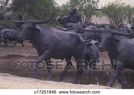 Dallas, TX, Texas, Pioneer Plaza, Cattle Sculpture, 70 Bovine Friends View Large Photo Image Stock Photograph - Dallas, TX, Texas, Pioneer Plaza, Cattle Sculpture, 70 Bovine Friends. Fotosearch