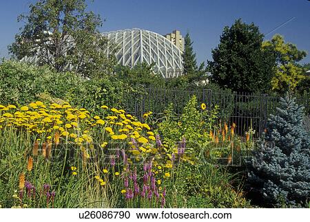 Denver, CO, Colorado, Denver Botanic Gardens View Large Photo Image Stock Image - Denver, CO, Colorado, Denver Botanic Gardens. Fotosearch