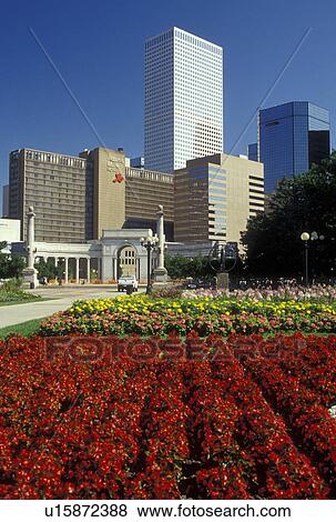 Denver, CO, Colorado, Downtown skyline of Denver from the Civic Center View Large Photo Image Stock Photo - Denver, CO, Colorado, Downtown skyline of Denver from the Civic Center. Fotosearch