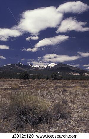 Stock Image -  Flagstaff, AZ, Arizona, Humphreys Peak, highest in Arizona. Fotosearch