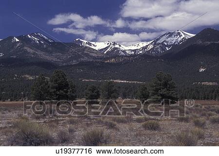 Flagstaff, AZ, Arizona, Humphreys Peak, highest in Arizona View Large Photo Image Stock Photograph - Flagstaff, AZ, Arizona, Humphreys Peak, highest in Arizona. Fotosearch