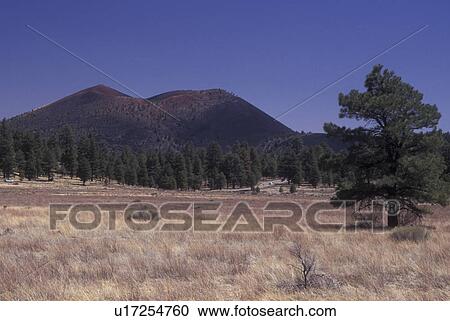 Stock Image -  Flagstaff, AZ, Arizona, Sunset Crater Volcano National Monument. Fotosearch