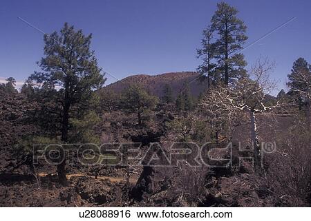 Flagstaff, AZ, Arizona, Sunset Crater Volcano National Monument View Large Photo Image Stock Photograph - Flagstaff, AZ, Arizona, Sunset Crater Volcano National Monument. Fotosearch