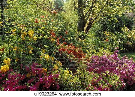 France, Giverny, Eure, Normandy, Paris, Europe, Claude Monet Country Home and Gardens in Giverny. View Large Photo Image Picture - France, Giverny, Eure, Normandy, Paris, Europe, Claude Monet Country Home and Gardens in Giverny.. Fotosearch