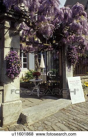 France, Veselay, Burgundy, Bourgogne, Yonne, Europe, wine region, Wisteria decorates the entrance to a restaurant in downtown Veselay. View Large Photo Image Stock Photo - France, Veselay, Burgundy, Bourgogne, Yonne, Europe, wine region, Wisteria decorates the entrance to a restaurant in downtown Veselay.. Fotosearch