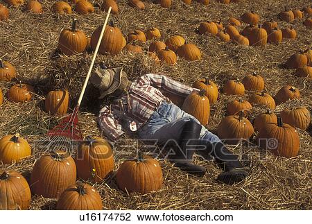 GA, Georgia, Fall decorations in North Georgia, pumpkins, scarecrow View Large Photo Image Stock Image - GA, Georgia, Fall decorations in North Georgia, pumpkins, scarecrow. Fotosearch