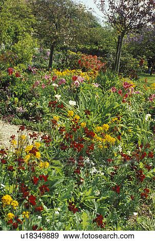 Stock Photo -  garden, Claude Monet, Giverny, Eure, Normandy, Paris, France, Europe, Claude Monet Country Home and Gardens in Giverny.. Fotosearch