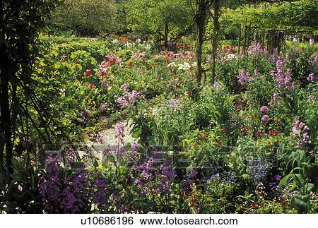 garden, Giverny, France, Eure, Normandy, Paris, Europe, Claude Monet Country Home and Gardens in Giverny. View Large Photo Image Stock Photograph - garden, Giverny, France, Eure, Normandy, Paris, Europe, Claude Monet Country Home and Gardens in Giverny.. Fotosearch