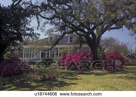 Stock Photograph -  Gautier, MS, Mississippi, House in the spring with azaleas. Fotosearch