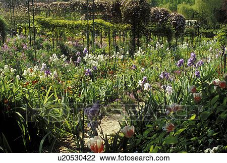 Giverny, Eure, Normandy, Paris, France, Europe, Claude Monet Country Home and Gardens in Giverny. View Large Photo Image Stock Image - Giverny, Eure, Normandy, Paris, France, Europe, Claude Monet Country Home and Gardens in Giverny.. Fotosearch