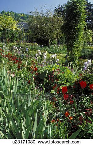 Giverny, Eure, Normandy, Paris, France, Europe, Claude Monet Country Home and Gardens in Giverny. View Large Photo Image Stock Image - Giverny, Eure, Normandy, Paris, France, Europe, Claude Monet Country Home and Gardens in Giverny.. Fotosearch