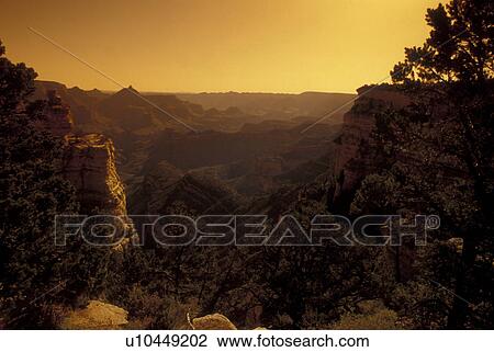 Stock Image -  Grand Canyon National Park, AZ, Arizona, South Rim. Fotosearch