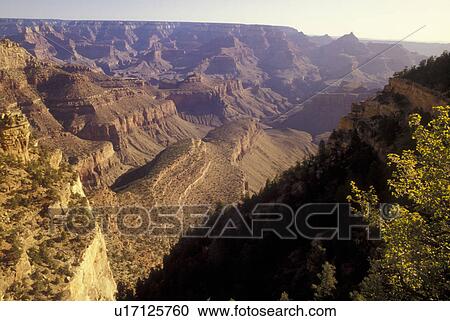 Stock Image -  Grand Canyon National Park, AZ, Arizona, South Rim. Fotosearch