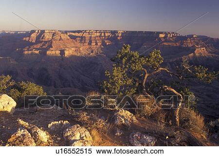 Stock Photography -  Grand Canyon National Park, AZ, Arizona, South Rim, sunrise. Fotosearch