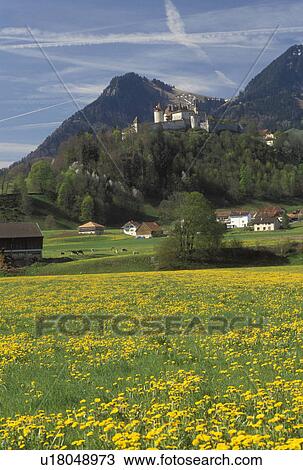 Gruyeres, Chateau de Gruyeres, Switzerland, Fribourg, Europe, Chateau de Gruyeres a 13th century castle in a fortified medieval town situated on top of a hill in the spring in the Canton of Fribourg. View Large Photo Image Stock Image - Gruyeres, Chateau de Gruyeres, Switzerland, Fribourg, Europe, Chateau de Gruyeres a 13th century castle in a fortified medieval town situated on top of a hill in the spring in the Canton of Fribourg. . Fotosearch