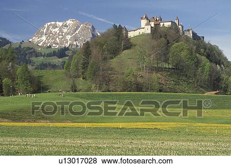 Gruyeres, Chateau de Gruyeres, Switzerland, Fribourg, Europe, Chateau de Gruyeres a 13th century castle in a fortified medieval town situated on top of a hill in the spring in the Canton of Fribourg. View Large Photo Image Stock Photo - Gruyeres, Chateau de Gruyeres, Switzerland, Fribourg, Europe, Chateau de Gruyeres a 13th century castle in a fortified medieval town situated on top of a hill in the spring in the Canton of Fribourg. . Fotosearch