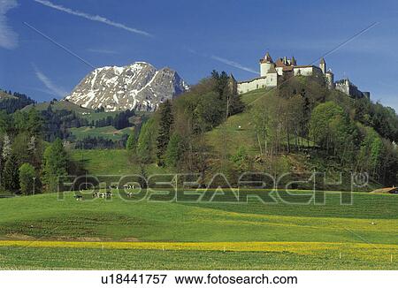 Gruyeres, Chateau de Gruyeres, Switzerland, Fribourg, Europe, Chateau de Gruyeres a 13th century castle in a fortified medieval town situated on top of a hill in the spring in the Canton of Fribourg. View Large Photo Image Stock Photo - Gruyeres, Chateau de Gruyeres, Switzerland, Fribourg, Europe, Chateau de Gruyeres a 13th century castle in a fortified medieval town situated on top of a hill in the spring in the Canton of Fribourg. . Fotosearch