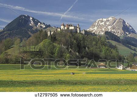 Gruyeres, Chateau de Gruyeres, Switzerland, Fribourg, Europe, Chateau de Gruyeres a 13th century castle in a fortified medieval town situated on top of a hill in the spring in the Canton of Fribourg. View Large Photo Image Stock Photography - Gruyeres, Chateau de Gruyeres, Switzerland, Fribourg, Europe, Chateau de Gruyeres a 13th century castle in a fortified medieval town situated on top of a hill in the spring in the Canton of Fribourg. . Fotosearch